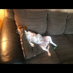 Meet your Posher, Anthony